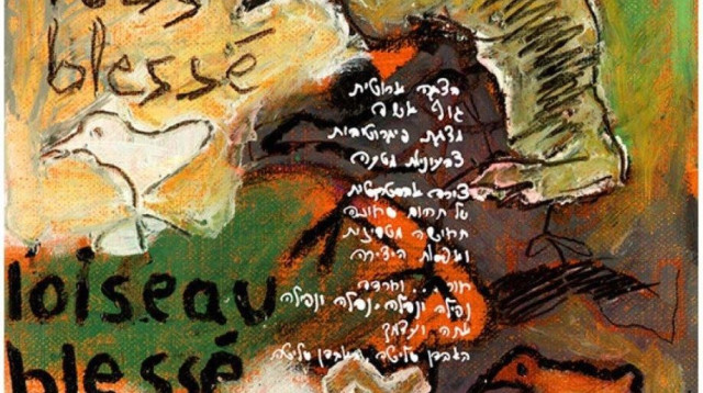 ציפור פצועה (צילום: אלירם באשר)