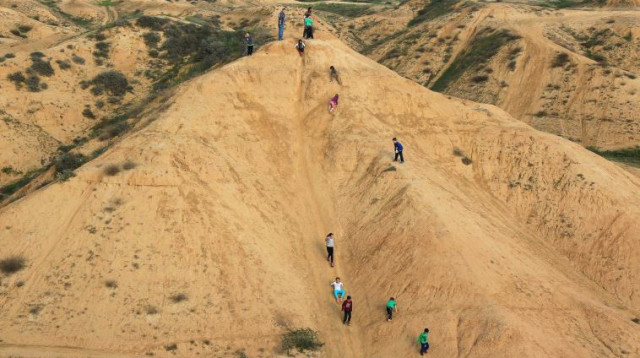 נחל צאלים, ארכיון (צילום: אדי ישראל, פלאש 90)