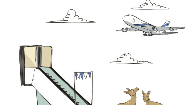 דואגים לקנגורואים (צילום: איור: ליאב צברי)