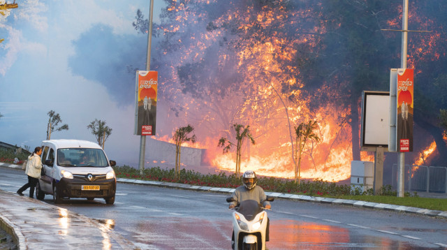 שריפה בחיפה (צילום: AFP)