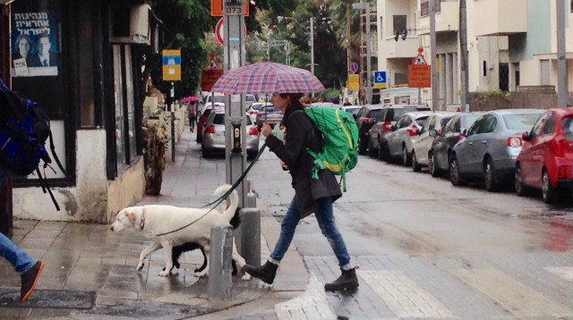 גשם בתל אביב (צילום: אבשלום ששוני)