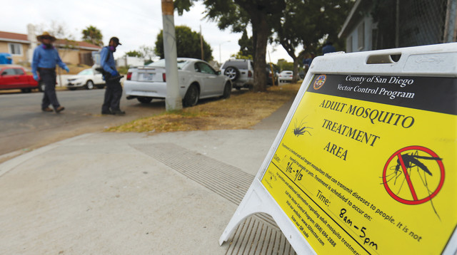 זיקה (צילום: רויטרס)