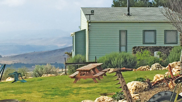 חוות ורד הגליל (צילום: תקשורת, מיטל שרעבי)