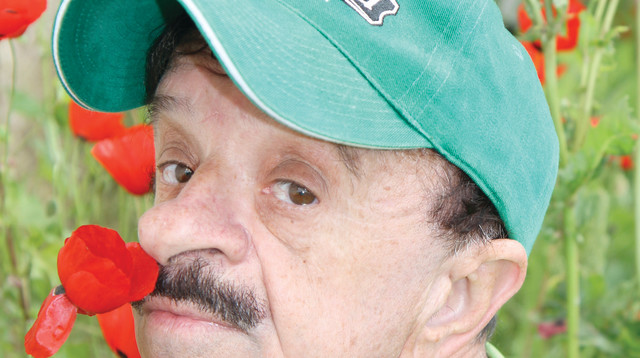 דובי גל (צילום: נטלי כריזמה פיקסל)