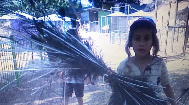 הרצח במגדל (צילום: צילום פרטי)