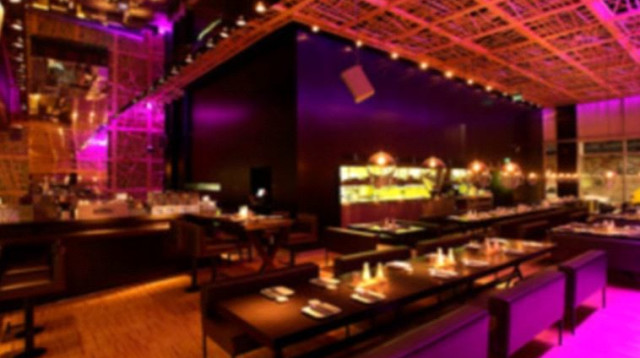 צפרה (צילום: יח"צ)