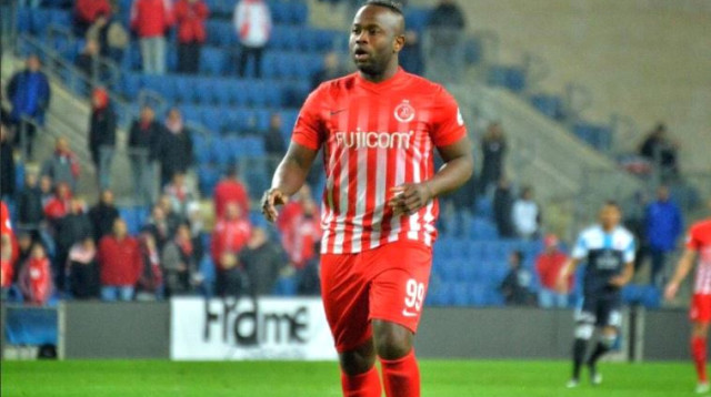 טוטו תמוז (צילום: אריאל שלום)