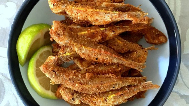 דגים (צילום: פסקל פרץ רובין)