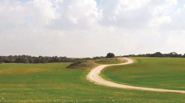 דרך הנוף (צילום: מיטל שרעבי)