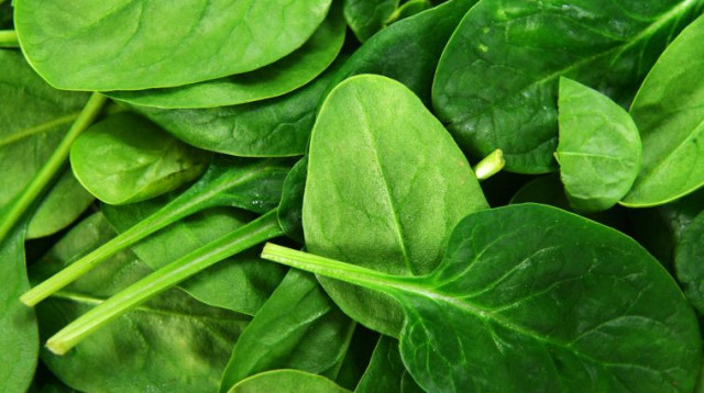 עלי תרד (צילום: אינג אימג')