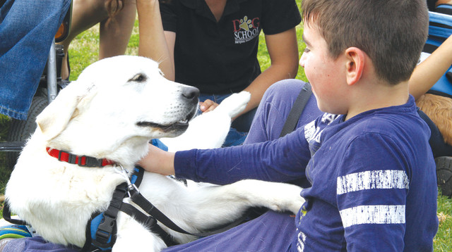 ילד חולה עם כלב סיוע (צילום: עמותת צעדים קטנים)