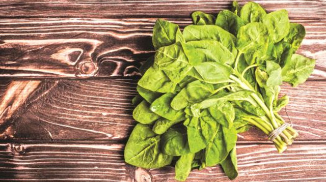 תרד, אילוסטרציה (צילום: אינג אימג')