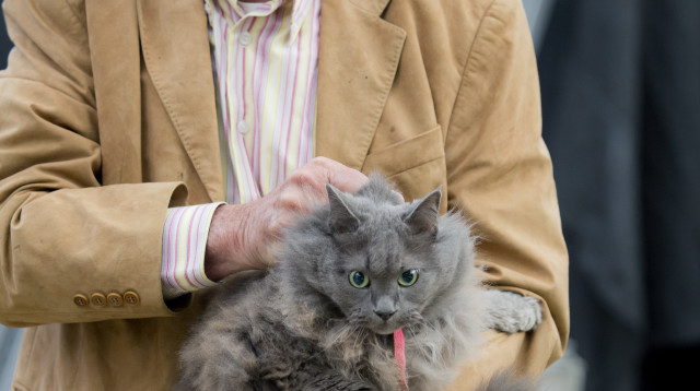 יורם לנדסברגר (צילום: פלאש 90)