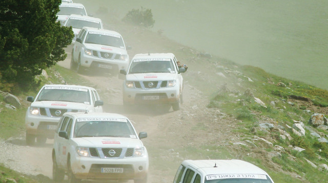 "מלכת המדבר" ב־2007 (צילום: איה בן יזרי)