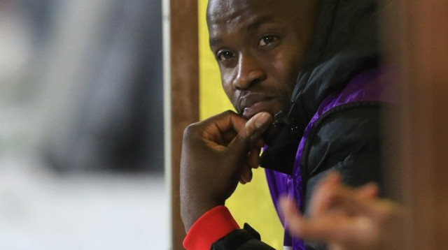 טוטו תמוז (צילום: ערן לוף)