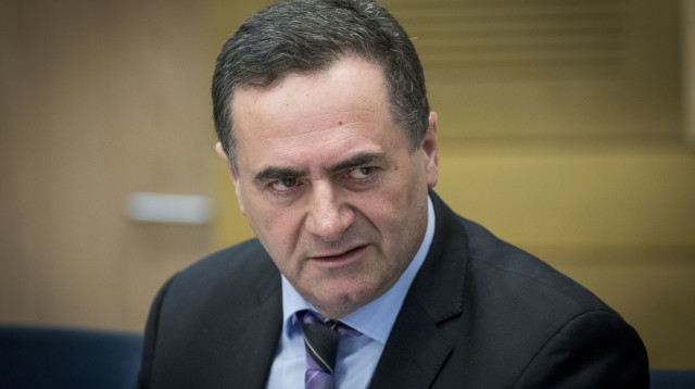 ישראל כץ (צילום: פלאש 90)