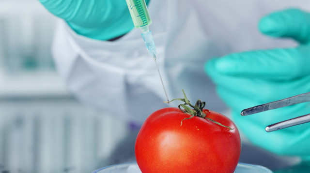 עגבניה (צילום: אינג אימג')