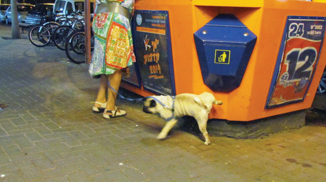 מפעל הפיס (צילום: נתן זהבי)