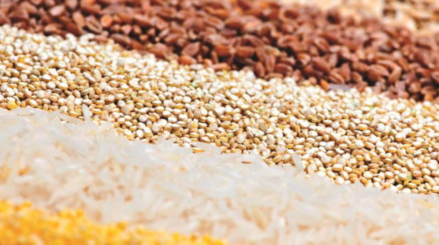 דגנים, אילוסטרציה (צילום: אינג אימג')