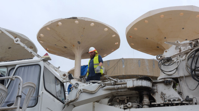 פירוק הפטריות בכיכר אתרים (צילום: אבשלום ששוני)