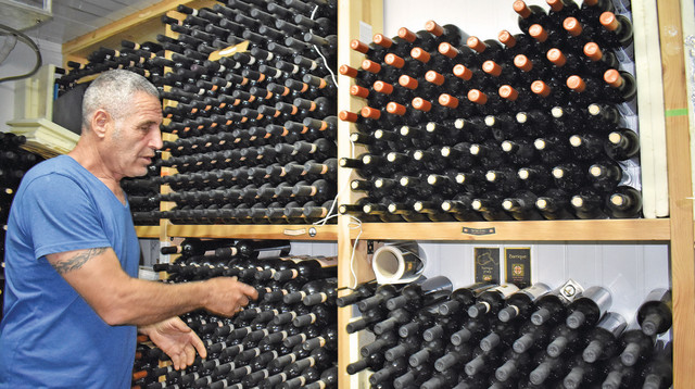 יקב שריגים, מטה יהודה (צילום: מיטל שרעבי)