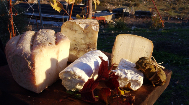 גבינות (צילום: פלאש 90)