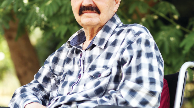 שייקה פייקוב (צילום: אריאל בשור)