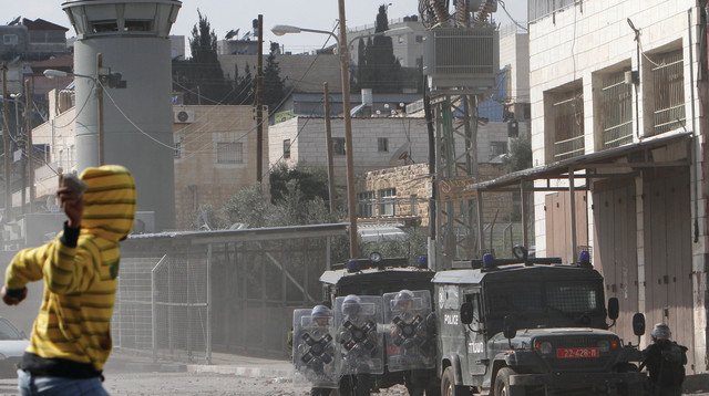 מרים אלסטר, פלאש 90 (צילום: מרים אלסטר, פלאש 90)