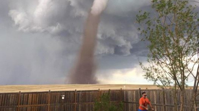ויראלי. איש מכסח דשא ברוגע כשמאחוריו סופה אימתנית (צילום: "אגד" CC BY-2.5)
