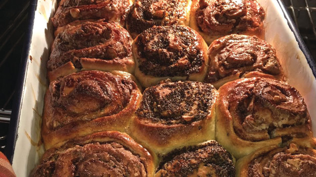 שושנים (צילום: פסקל פרץ רובין)