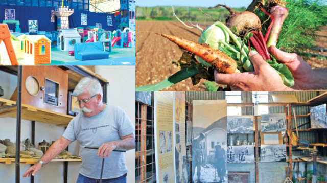 המועצה האזורית זבולון  (צילום: מיטל שרעבי)