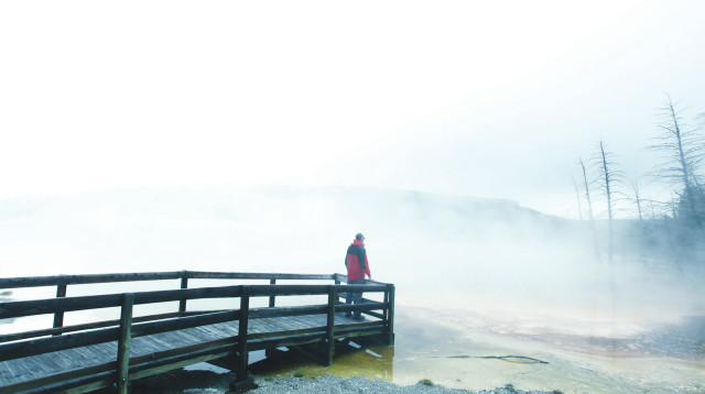 גשר (צילום: אינג אימג')
