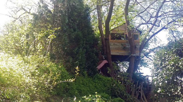 בית על עץ (צילום: CC BY-SA 3.0)