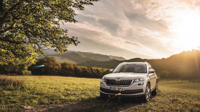 סקודה קודיאק (צילום: יח"צ)