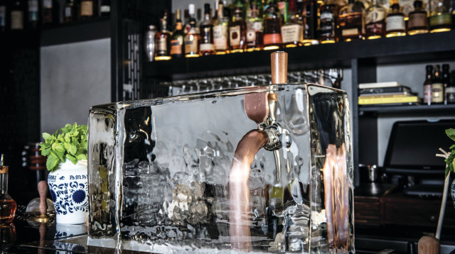 בלוק הקרח בבוטניקה בר (צילום: דנה כספי)