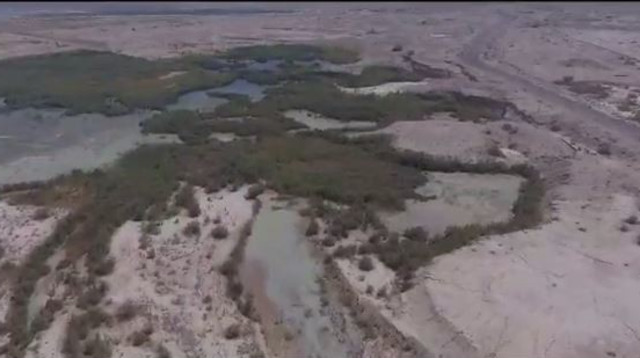 תיעוד הזיהום בנחל אשלים (צילום: אריה רוזנברג, רשות הטבע והגנים)