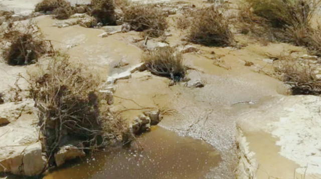 הזיהום בנחל אשלים (צילום: בעז פריפלד רשות הטבע והגנים)