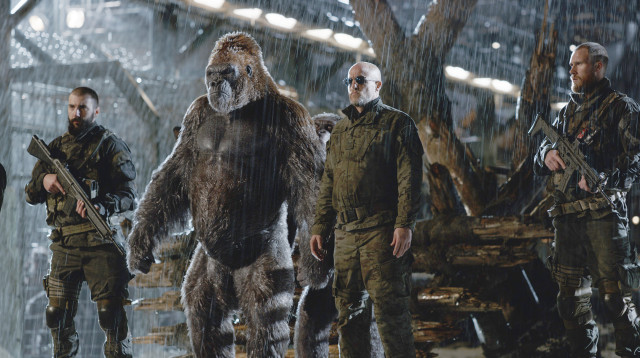 "כוכב הקופים: המלחמה" (צילום: באדיבות פורום פילם)