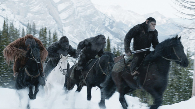 "כוכב הקופים: המלחמה" (צילום: יח"צ)