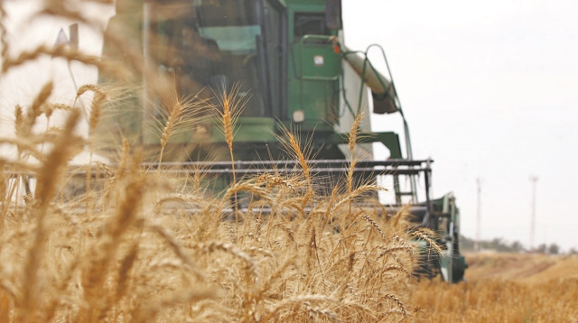 טרקטור עובד בשדה חיטה (צילום: יוסי זמיר, פלאש 90)