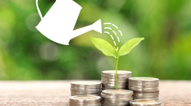 צמיחה כלכלית (צילום: Bigstockphoto)