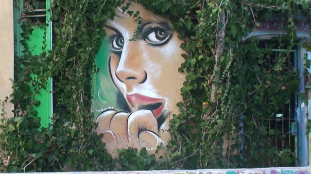 אומנות רחוב בתל אביב  (צילום: יצחק בן נר)