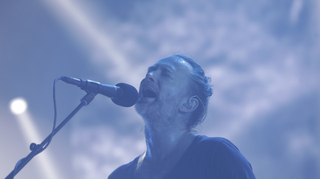 תום יורק בפארק הירקון (צילום: ליאור שניידר ואריאל עפרון)