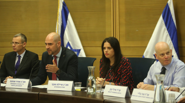 דיון בוועדת הכנסת על חוק הלאום (צילום: מרק ישראל סלם)