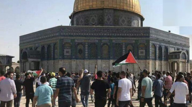 מתפללים במתחם הר הבית (צילום: רשתות הערביות)