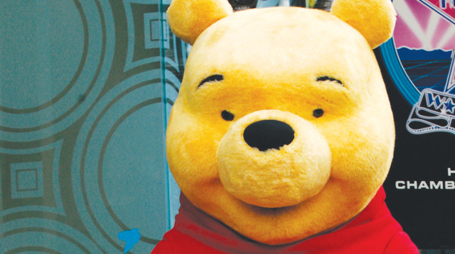 דו הדב (צילום: רויטרס)