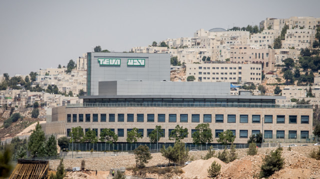 מפעל טבע בירושלים (צילום: יונתן זינדל, פלאש 90)