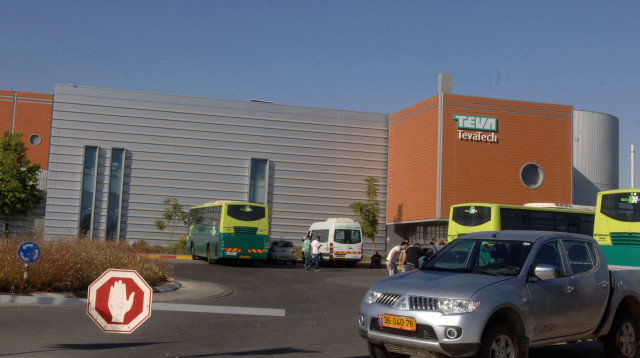 מפעל טבע בירושלים (צילום: יונתן זינדל, פלאש 90)