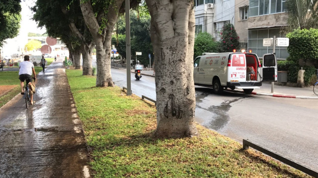 זירת התאונה של שלומית מלכה, שביל אופניים רטוב (צילום: אבשלום ששוני)