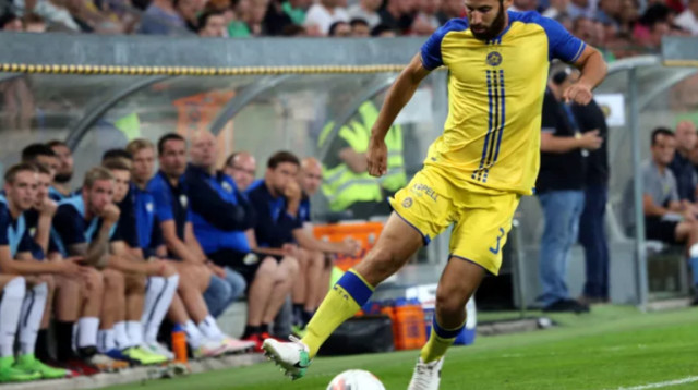 שפונגין (צילום: אודי ציטיאט)